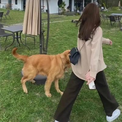 皮克斯短片精选1
